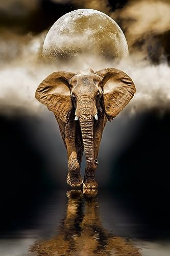 Puzzle 1000 Teile,1000 Puzzle,Jigsaw Puzzle,Wooden Puzzle,Holzpuzzles FüR Erwachsene, Familie Und Freunde (Puzzle P5, 1000 Teile)