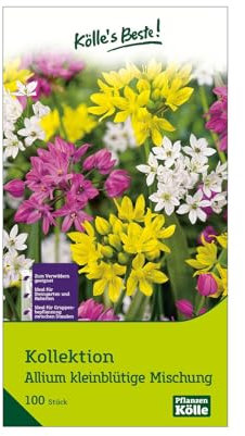 Zierlauch Allium, kleinblütig, 3 Sorten, Größe 4/+, 100 Blumenzwiebeln