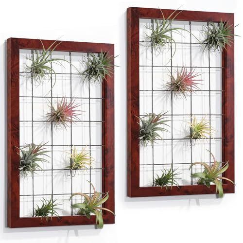 AOAOPQ Luftpflanzen-Dreiecksrahmen zum Aufhängen, für Luftpflanzen, rustikal, rot, Tillandsia, Sukkulenten, Ausstellungsregal, Wanddekoration, 2 Stück