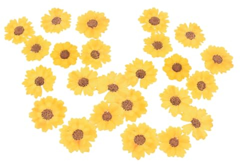 SEWACC 24 Stück DIY Prägung Gepresste Blumen DIY Kerze Trockenblumen Natürliche Trockenblumen Trockenblumen Material DIY Bastelmaterial Trockenblumen Zum Basteln Gänseblümchen