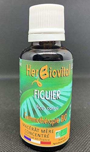 Herbiovital - Figuier Bio - Le Macérât apaisant - Gemmothérapie Concentrée - 30 ml - Apaise les troubles nerveux et émotionnels - Fabriqué en France