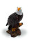Onwomania Polyresin Figur Weißkopfseeadler Greifvogel Adler Tier Dekofigur aus Polyresin Braun 8 cm