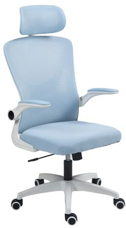 Panana Office Chair Mesh Back Ergonomic Desk Chair with Flip-up Armrest Executive Swivel Computer Chair (High Back Light Blue)