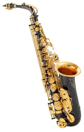 Saxophone für Musikliebhaber Es Altsaxophon ist perfekt für Anfänger für Üben und Spielen