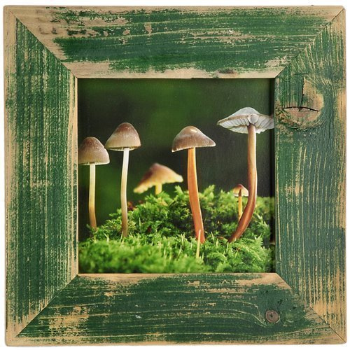 Mein Landhaus Bilderrahmen Grün 20X20