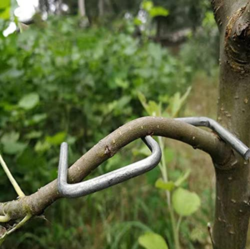 LEILIN Der Obstzweigstreuer bildet stärkere Zweige an Kirschen und anderen Obstbäumen, um das Wachstum neuer Zweige zu unterstützen, Zweigstütze für Äste (24 pro Packung) (S-3,9 Zoll))
