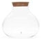 Glass Terrarium Container with Cork Lid, 24 cm High x 26 cm Wide, Hand Blown Clear Glass, Terrarium Jar (with Standard Lid)