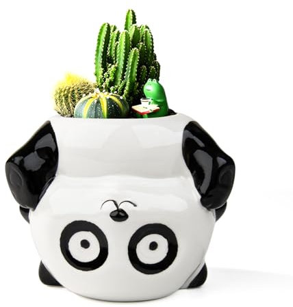 YINUOWEI Süßer Sukkulenten-Übertopf Blumentopf für Kaktus, Bonsai, Gartendekoration, Panda
