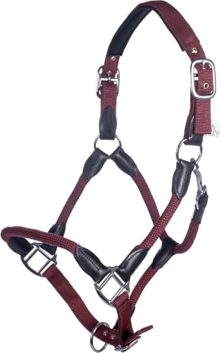 HKM Carlotta Halfter, Bordeaux, Warmblut