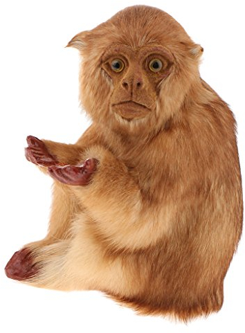 MagiDeal Lebensechte Dekofigur AFFE Gartenfigur Tierfigur Garten Dekoration, 16x12x20cm, Dunkel