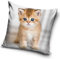 Katzen Baby Motiv Kissenhülle Kissenbezug 40x40 cm (PNL215078)