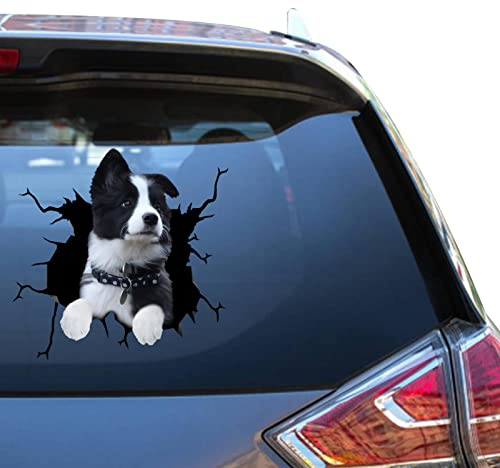Border Collies Aufkleber Border Collie Auto Fenster Aufkleber Lustige Witze Vynal Auto Aufkleber für Fahranfänger Lustige Memes Bumber Automotive Aufkleber