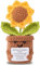 Aruigu Pocket Hug Positive Sonnenblume, Kreative Strickwolle Sonnenblume Puppe, Positive Kartoffel Deutsch Ersatz, Mutmacher Geschenk, Gute Besserung Geschenk, Geschenk zum Abschluss