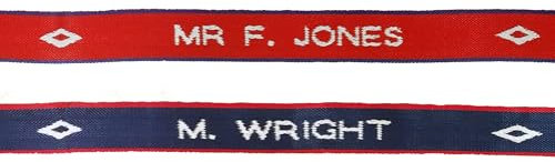 Personalised Luggage Strap - choice of 2 colours!