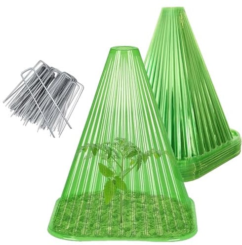 Garden Plant Cloches 30 Pack Reusable Greenhouse Bell Domes for Frost, Sun, and Pest Veg Protection Plastic Plant cloche Covers for Outdoor Garden, 22cm x 19cm,with 60pcs Garden Ground pegs