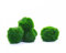 Gärtnerei - Garnelio Aegagrophila Linnaei Lot de 3 boules de mousse pour aquarium 3 cm