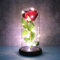 Jieddey Ewige Rose unter Glocke, Set LED Light Verzauberte Rose, Kuppel aus Glas, die Schöne und das Biest, Seide, für Muttertag, Valentinstag, Geburtstag, Hochzeit, Symbol der Liebe