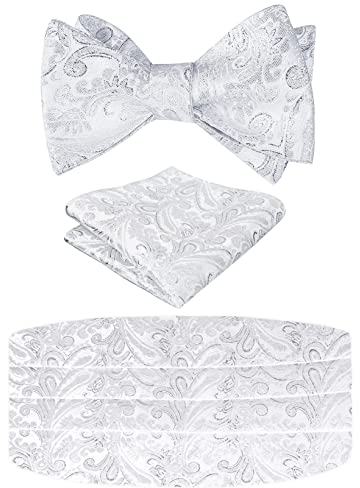 Alizeal Herren Neuheit Paisley Selbstgebundene verstellbare Fliege, Kummerbund und Taschentuch Set, Glänzendes Silber