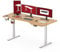 SANODESK Höhenverstellbarer Schreibtisch 160 x 75 cm Schreibtisch Höhenverstellbar Elektrisch Ergonomischer Steh-Sitz Tisch Computertisch für Heimbüro Homeoffice(ahorn)