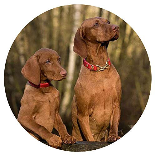 Puzzles für Erwachsene DIY 1000 Stück Kinder Erwachsene Puzzlespielzeug Jedes Stück ist einzigartig Dekompressionsspiel Schwierigkeit Lustiges Spielzeug Home Decoratio Forest Vizsla Dog Circular Puzz