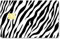 CREATCABIN Zebra-Print-Kartenaufkleber,Kreditkarten-Skin,Wasserdicht,Debit-Bankkarten-Aufkleber,Hautschützend,Kreditabdeckung,Kartenaufkleber,Abnehmbar,Schlank,Für Transport,Kartendekoration,186x137mm
