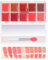 Palette lucidalabbra, Crema labbra gelatinosa da 10 colori, Lucidalabbra multicolore, Set rossetti ad alta pigmentazione, Palette labbra professionale, Lucidalabbra lisci, Palette trucco per donna, Co