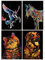 Kratzbilder Set,DIY Bastelsets,Buntes Kratzdesign-Papier-Set,Kratzmalblätter mit Tierdesign und Werkzeugset Magic Scratch Art Papier Set,Nachtansicht Kratzpapier (Einhorn+Zebra+Katze+Hund)