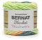 Bernat Decken-Patchwork-Garn mit Zitrusmuster, 2 Stück, 300 g, 100% Polyester, #6 super sperrig, 220 Meter – Stricken/Häkeln