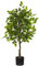 Valyria Home | Ficus Artificial 150 cm – Árbol Decorativo Realista con Apariencia de Tronco Natural – Planta de Plástico – Árbol Artificial para Hogar y Oficina