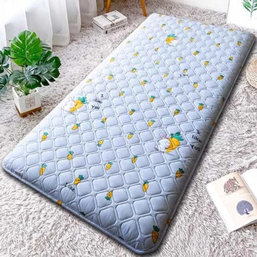 DAZULI Japanische Bodenmatratze Futon-matratze Tatami-Matte Verdicken Schlafkissen Matratzenauflage Für Schlafsäle Faltbare Rollmatratze(Size:90x200cm,Color:E)
