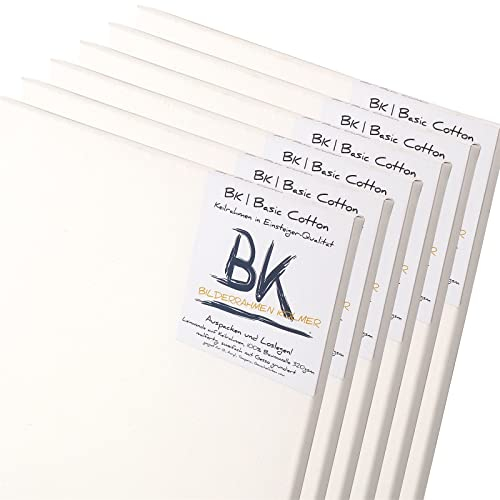 BK BILDERRAHMEN KOLMER 6X LEINWÄNDE 60x120 cm | hochwertige Leinwand zum Bemalen auf Keilrahmen aus 100% Baumwolle | malfertig bespannt und Gesso grundiert