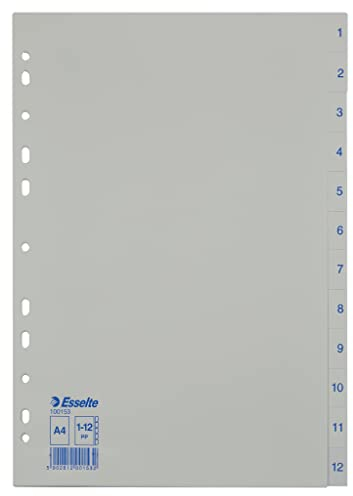 Esselte 100153 - Divisori per Formato A4, 12 divisori con Numeri da 1 a 12, in plastica Resistente, Colore: Blu/Bianco