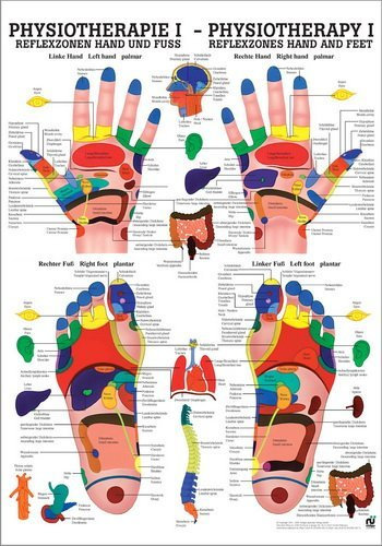 Ruediger Anatomie PHYS I Reflexzonen Hand und Fuß Tafel, 50 cm x 70 cm, Papier