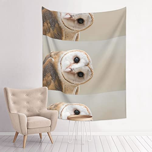 Lsjuee Wandteppich mit lustiger Eule, schwarz, 29 x 37 Zoll (vertikal), geeignet für Polster, Picknickdecken, Tagesdecken