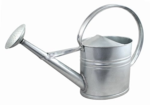 Agrarflora Zinkgießkanne 10 Liter - langlebige Metallgießkanne - Blumengießkanne mit abnehmarer Brause - dekorative Zink Gießkanne, zur Bewässerung von Blumen und Pflanzen
