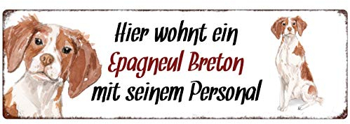 Interluxe Metallschild - Hier wohnt EIN Epagneul Breton - wetterfestes Schild, Türschild, Warnschild oder Hundeschild als Geschenk für Menschen mit Hund