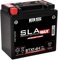 Batteria BS Sla-Max BTX14H 12 V 14 Ah 220 CCA B MW R 1200 GS ADVENTURE 2005/2019
