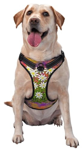 Schweizer Edelweißblumen, Haustiergeschirr, Verstellbares reflektierendes Hundegeschirr, Haustierleinenweste,S