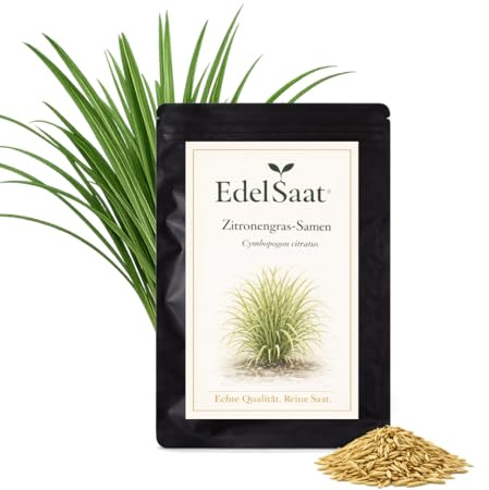 Zitronengras Samen (Cymbopogon citratus) – Frische, aromatische Kräuter für Garten & Balkon – Hochwertiges Saatgut für Anzucht, Küche & Tee – Exotische Pflanze, einfach zu ziehen, hohe Keimrate