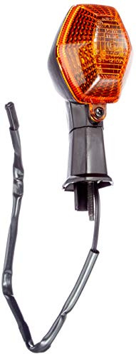 Turn signal front right