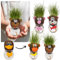 Bada Bing 5er Set DIY Grasköpfe Inklusive Wasserbehälter - Tierköpfe mit Rasensamen- Lustiges Experiment für Kinder - Verschiedene Tiere - Spaß mit Lerneffekt - Kindergeburtstag Ostern Mitgebsel