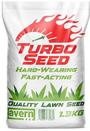 Avern Turbo Grass Seed 2.6KG, Fast Growing Lawn Seed, Hard Wearing Grass, Dog Friendly, Can Germinate as Quick as 7 Days, Ideal for Overseeding or New UK Gardens (2.6KG, Upto 156 sqm Coverage)
