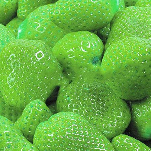 Generic Graines de Fraises, 100 graines de Fraises Douces Multicolores Maison Jardin Ferme Plantation de Plantes fruitières Vert Graines de Fraise
