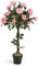 SOARS Kunstpflanze, Kunstblumen mit 21 Rosen & 259 Blättern, künstliche Rosen mit holzstämmen, Künstliche Pflanze im Topf, Zimmerpflanze für Zuhause & Büro, 93cm