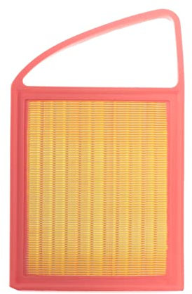 RIDEX 8A0172 Filtro aria motore Prefiltro