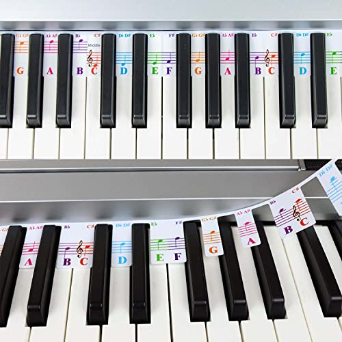 QMG Colorful Piano Keyboard Notes for Beginner, Removable Note Labels for Learning, 61 Key Full Size Piano Rake Key, Reusable, No Need Stickers