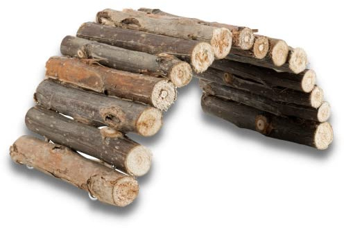 CareStarz Natural Living Bridge 22x10 cm Dekor als Hamsterleiter Hamsterbrücke Schildkröte Spielzeug für eine echte Schildkröte Meerschweinchen Chinchillas