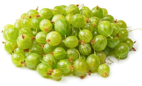 520 piezas semillas de plantas de grosella espinosa fruta columnar planta de grosella espinosa fresca árboles frutales columnares árboles frutales semillas de frutas plantas resistentes