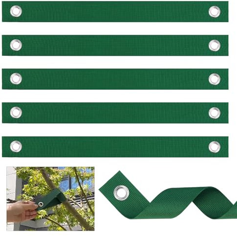 Coolty 12 Baumgurte mit Ösen zum Abspannen, frisch gepflanzte Bäumchen, gerade und Hurrikanschutz