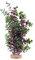 Fluval Aqualife Red Bacopa Plant, Plastic Aquarium Plant Decoration 14 in